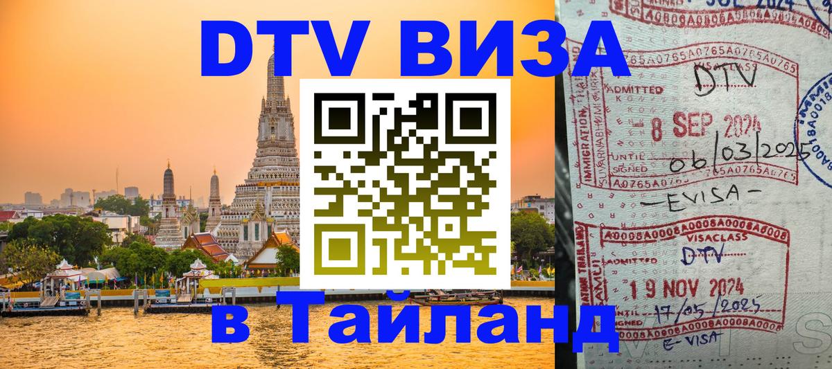 Оформление DTV визы под ключ: стоимость и тарифы, только загранпаспорт - Каспийск  21.11.2025 